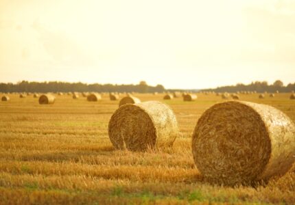 zarabianie na agroturystyce