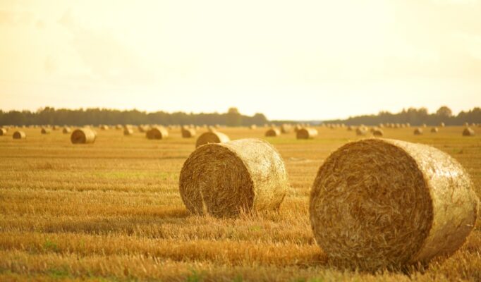 zarabianie na agroturystyce